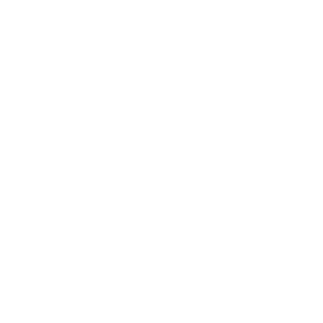 VÁNOCE 🎄🎁